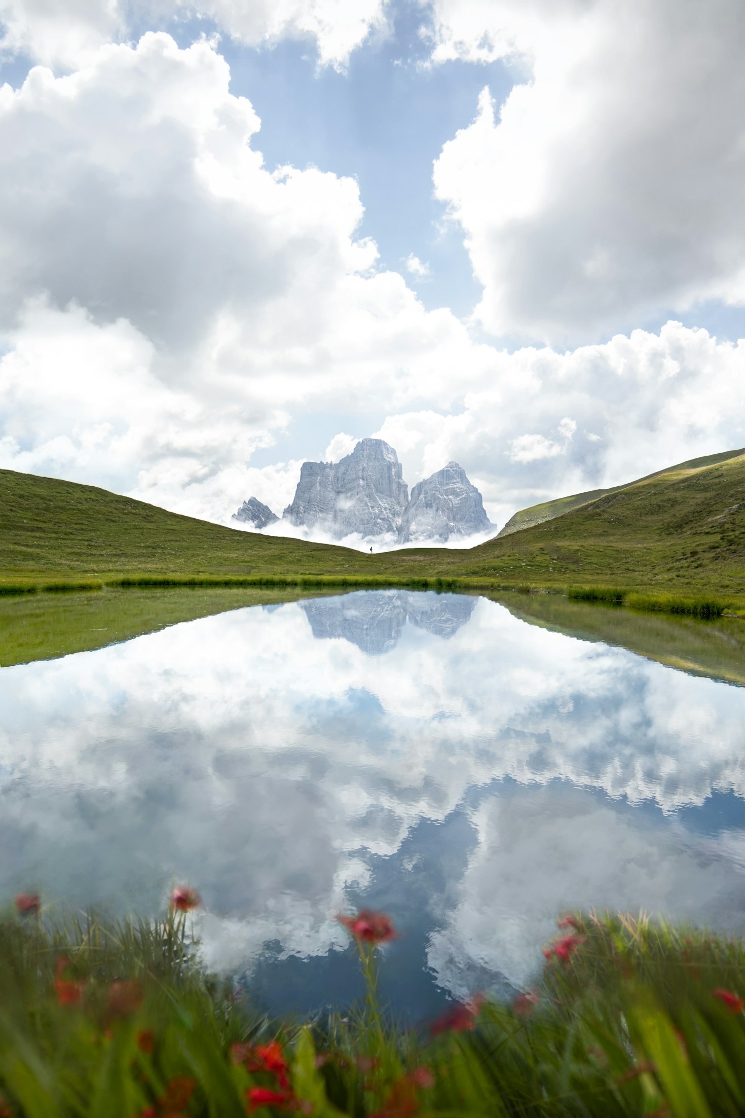 Tips for Finding High-Quality Images Online